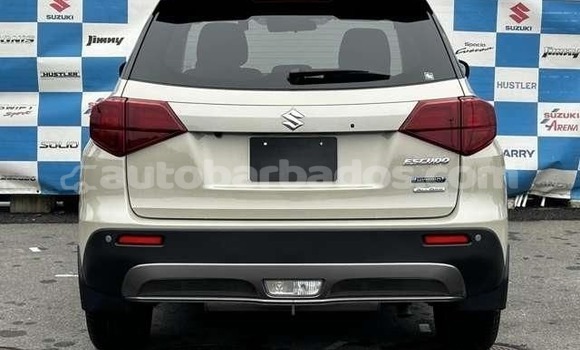 Buy Used Suzuki Escudo Brown Car in Bridgetown in Barbados Buy Used Suzuki Escudo Brown Car in Bridgetown in Barbados