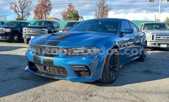 Buy Used Dodge Charger Blue Car in Bridgetown in Barbados