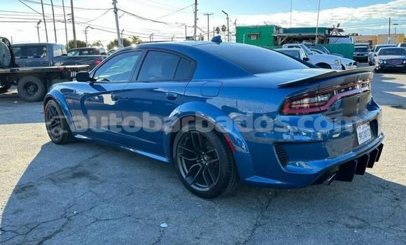 Buy Used Dodge Charger Blue Car in Bridgetown in Barbados Buy Used Dodge Charger Blue Car in Bridgetown in Barbados