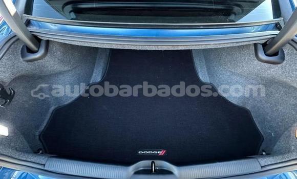 Buy Used Dodge Charger Blue Car in Bridgetown in Barbados Buy Used Dodge Charger Blue Car in Bridgetown in Barbados