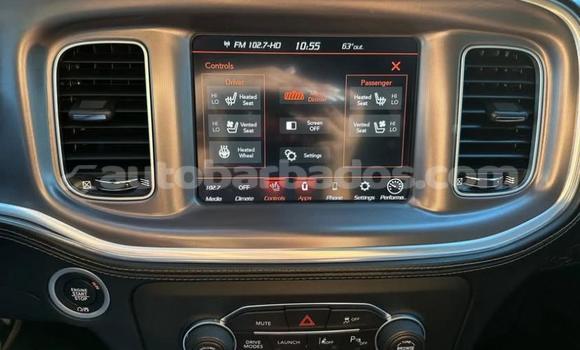 Buy Used Dodge Charger Blue Car in Bridgetown in Barbados Buy Used Dodge Charger Blue Car in Bridgetown in Barbados