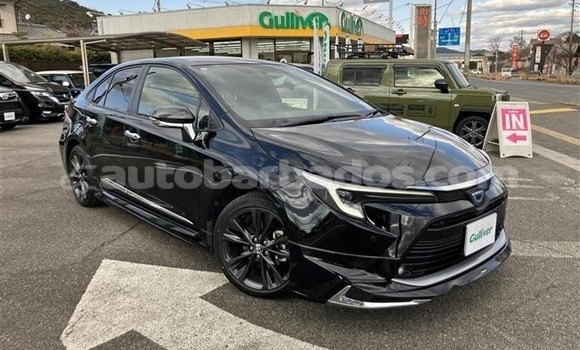 Buy Used Toyota Corolla Black Car in Bridgetown in Barbados