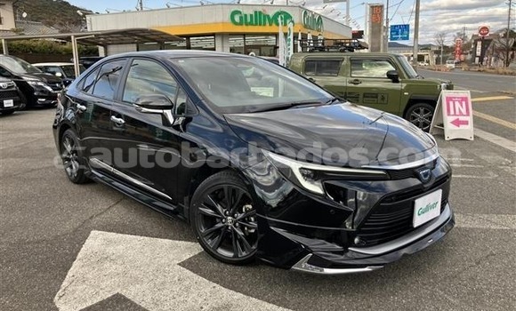 Buy Used Toyota Corolla Black Car in Bridgetown in Barbados