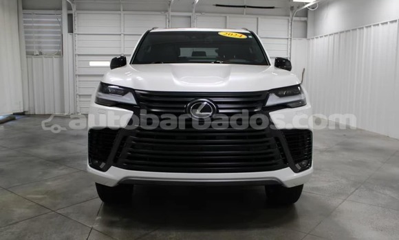 Buy Used Lexus LX White Car in Bathsheba in Barbados