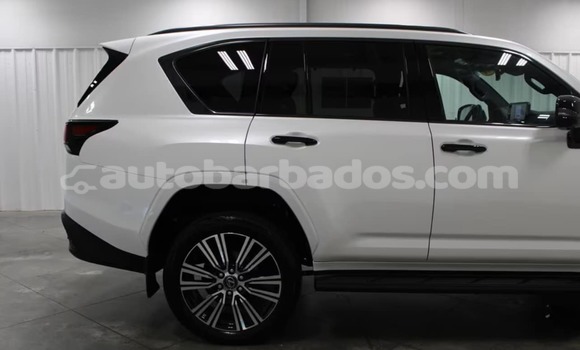 Buy Used Lexus LX White Car in Bathsheba in Barbados Buy Used Lexus LX White Car in Bathsheba in Barbados