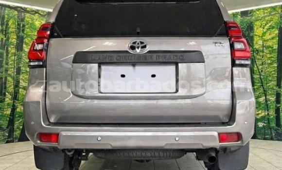Buy Used Toyota Land Cruiser Prado Black Car in Bridgetown in Barbados Buy Used Toyota Land Cruiser Prado Black Car in Bridgetown in Barbados