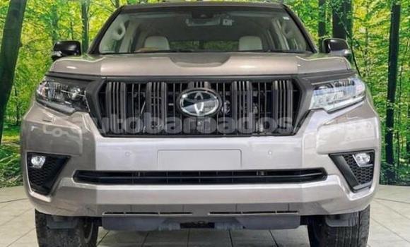Buy Used Toyota Land Cruiser Prado Black Car in Bridgetown in Barbados Buy Used Toyota Land Cruiser Prado Black Car in Bridgetown in Barbados