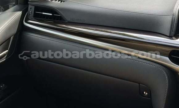 Buy Used Lexus LX 570 White Car in Speightstown in Barbados Buy Used Lexus LX 570 White Car in Speightstown in Barbados