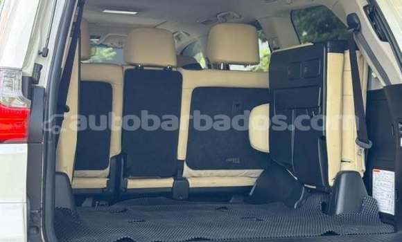 Buy Used Lexus LX 570 White Car in Speightstown in Barbados Buy Used Lexus LX 570 White Car in Speightstown in Barbados