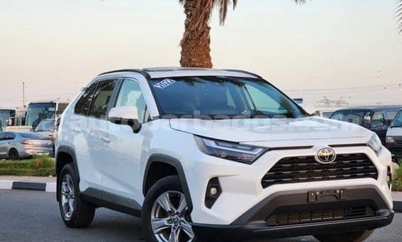 Buy Used Toyota RAV4 White Car in Bridgetown in Barbados