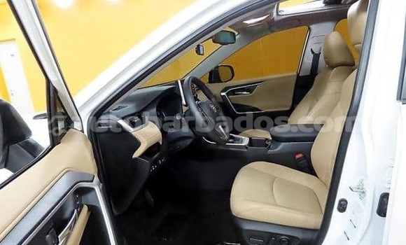 Buy Used Toyota RAV4 White Car in Bridgetown in Barbados Buy Used Toyota RAV4 White Car in Bridgetown in Barbados