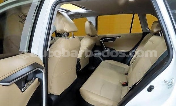 Buy Used Toyota RAV4 White Car in Bridgetown in Barbados Buy Used Toyota RAV4 White Car in Bridgetown in Barbados