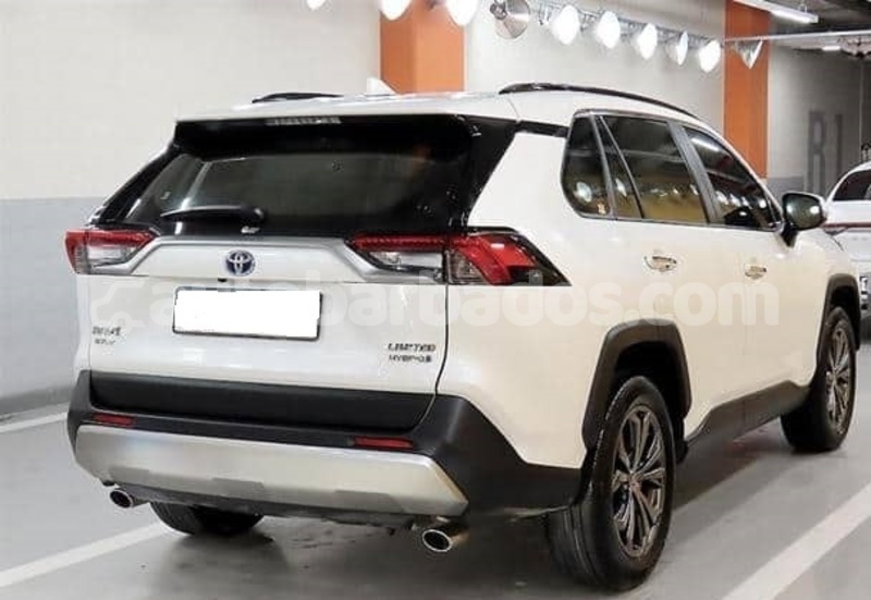 Big with watermark toyota rav4 barbados bridgetown 4799