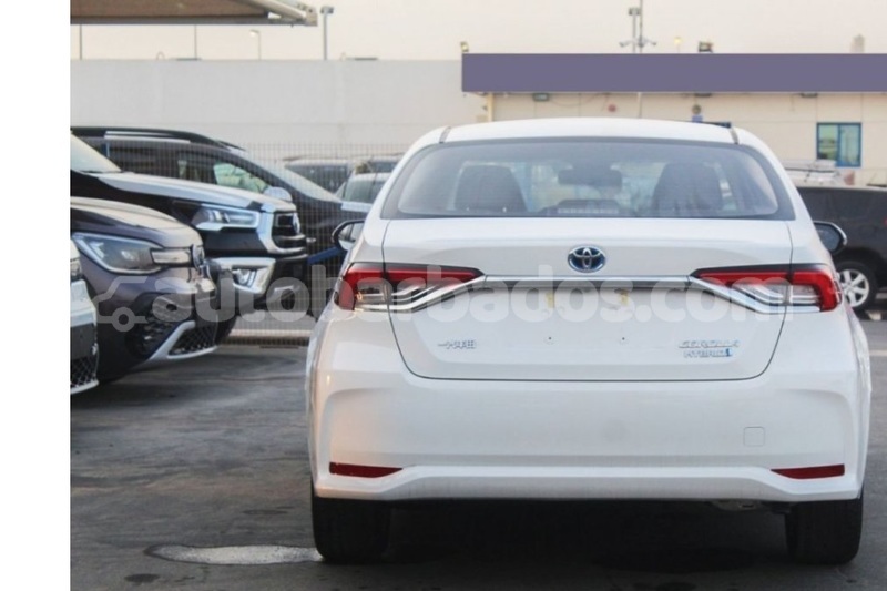 Big with watermark toyota corolla barbados bridgetown 4800