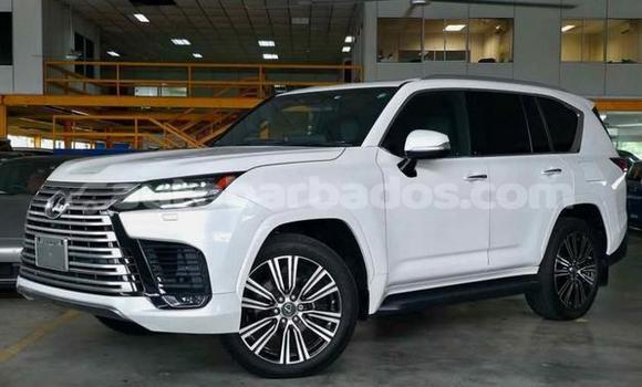 Buy Used Lexus LX White Car in Bridgetown in Barbados