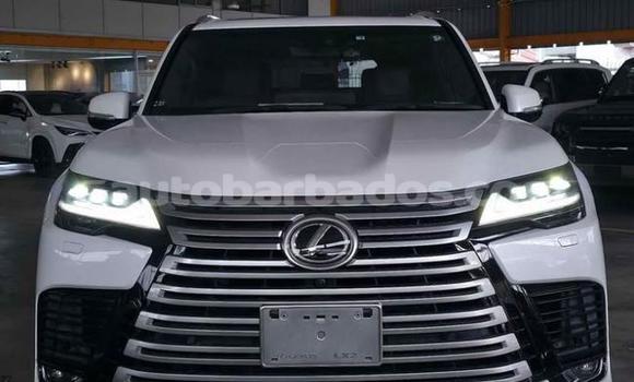 Buy Used Lexus LX White Car in Bridgetown in Barbados Buy Used Lexus LX White Car in Bridgetown in Barbados