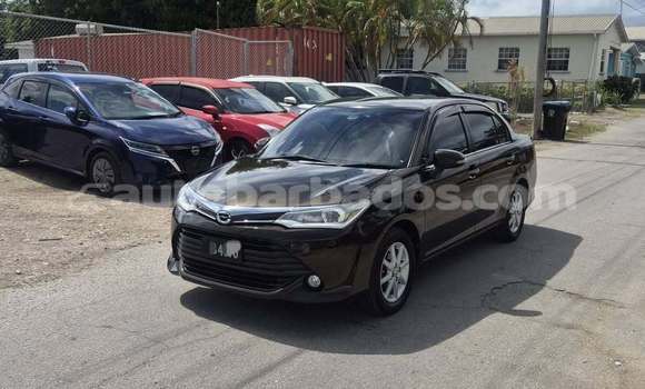 Buy Used Toyota Axio Black Car in Bridgetown in Barbados