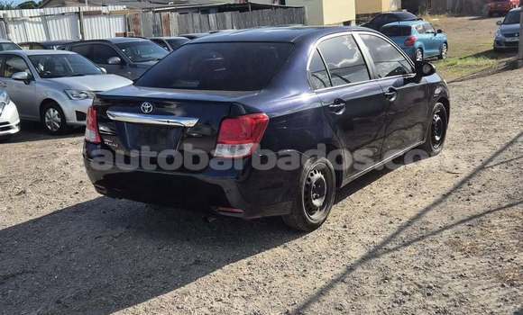 Buy Used Toyota Axio Black Car in Bridgetown in Barbados Buy Used Toyota Axio Black Car in Bridgetown in Barbados