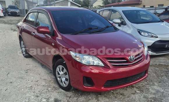 Buy Used Toyota Corolla Red Car in Bridgetown in Barbados Buy Used Toyota Corolla Red Car in Bridgetown in Barbados