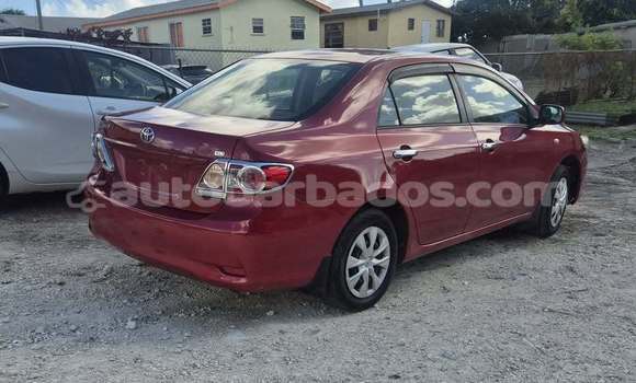 Buy Used Toyota Corolla Red Car in Bridgetown in Barbados Buy Used Toyota Corolla Red Car in Bridgetown in Barbados
