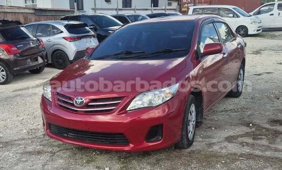 Buy Used Toyota Corolla Red Car in Bridgetown in Barbados Buy Used Toyota Corolla Red Car in Bridgetown in Barbados