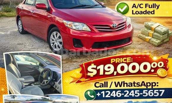 Buy Used Toyota Corolla Red Car in Bridgetown in Barbados Buy Used Toyota Corolla Red Car in Bridgetown in Barbados