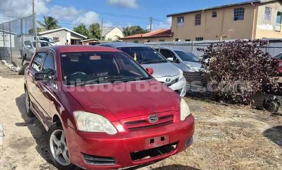 Buy Used Toyota Runx Red Car in Bridgetown in Barbados Buy Used Toyota Runx Red Car in Bridgetown in Barbados