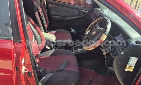 Buy Used Toyota Runx Red Car in Bridgetown in Barbados Buy Used Toyota Runx Red Car in Bridgetown in Barbados