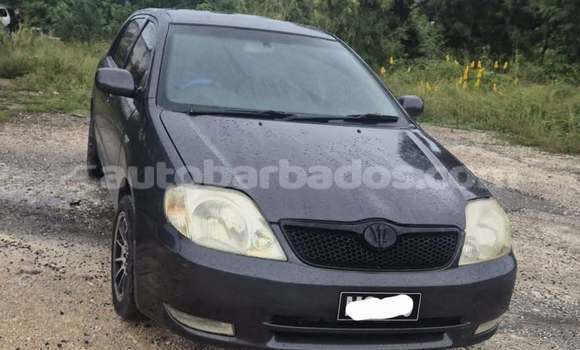 Buy Used Toyota Allex Black Car in Bridgetown in Barbados