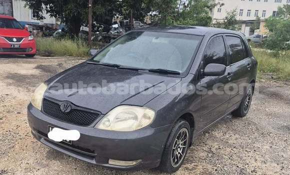 Buy Used Toyota Allex Black Car in Bridgetown in Barbados Buy Used Toyota Allex Black Car in Bridgetown in Barbados