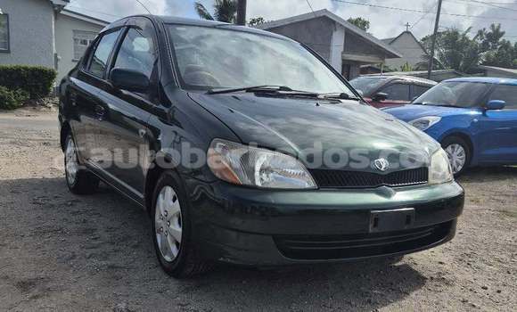 Buy Used Toyota Platz Black Car in Bridgetown in Barbados Buy Used Toyota Platz Black Car in Bridgetown in Barbados