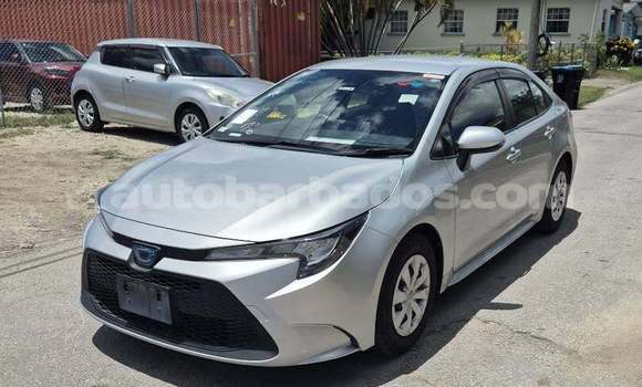 Buy Used Toyota Corolla Other Car in Bridgetown in Barbados