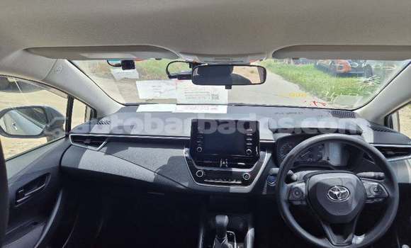 Buy Used Toyota Corolla Other Car in Bridgetown in Barbados Buy Used Toyota Corolla Other Car in Bridgetown in Barbados