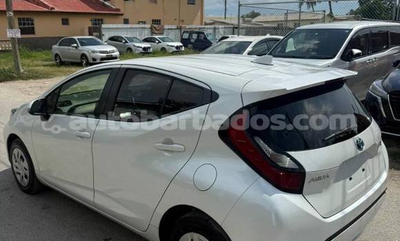 Buy Used Toyota Aqua White Car in Bridgetown in Barbados