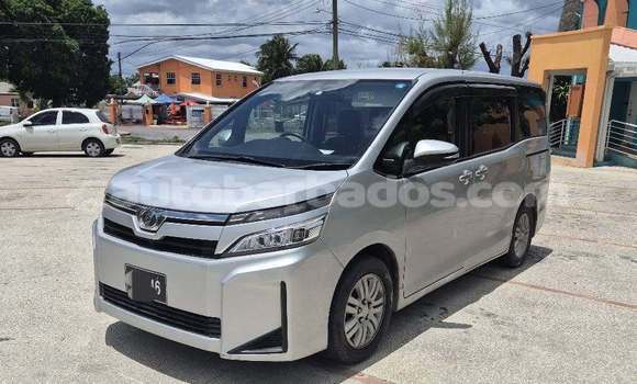 Buy Used Toyota Voxy Other Car in Bridgetown in Barbados Buy Used Toyota Voxy Other Car in Bridgetown in Barbados