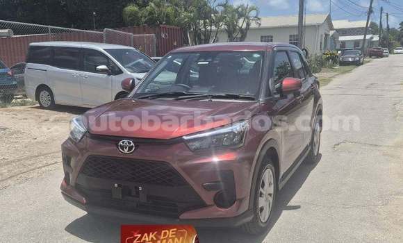 Buy Used Toyota Ractis Red Car in Bridgetown in Barbados