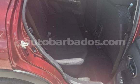 Buy Used Toyota Ractis Red Car in Bridgetown in Barbados Buy Used Toyota Ractis Red Car in Bridgetown in Barbados