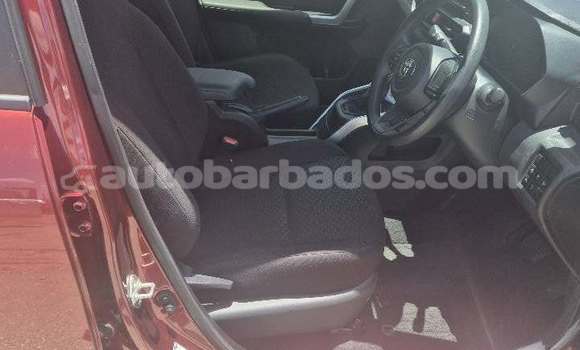 Buy Used Toyota Ractis Red Car in Bridgetown in Barbados Buy Used Toyota Ractis Red Car in Bridgetown in Barbados