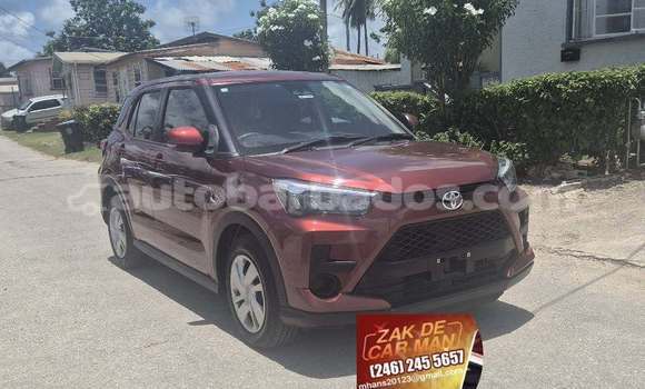 Buy Used Toyota Ractis Red Car in Bridgetown in Barbados Buy Used Toyota Ractis Red Car in Bridgetown in Barbados