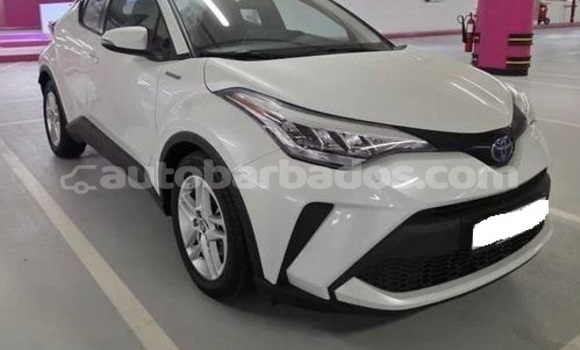 Buy Used Toyota C-HR White Car in Bridgetown in Barbados