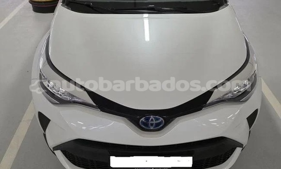 Buy Used Toyota C-HR White Car in Bridgetown in Barbados Buy Used Toyota C-HR White Car in Bridgetown in Barbados