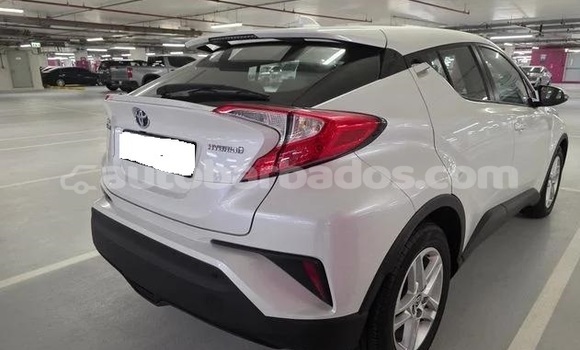 Buy Used Toyota C-HR White Car in Bridgetown in Barbados Buy Used Toyota C-HR White Car in Bridgetown in Barbados