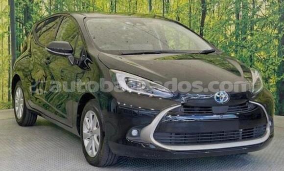Buy Used Toyota Aqua Black Car in Bridgetown in Barbados Buy Used Toyota Aqua Black Car in Bridgetown in Barbados