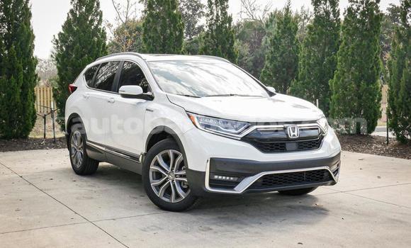 Buy Used Honda CR–V White Car in Bridgetown in Barbados
