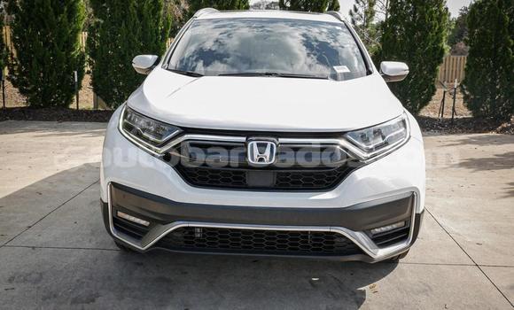 Buy Used Honda CR–V White Car in Bridgetown in Barbados Buy Used Honda CR–V White Car in Bridgetown in Barbados