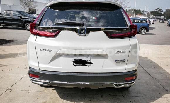 Buy Used Honda CR–V White Car in Bridgetown in Barbados Buy Used Honda CR–V White Car in Bridgetown in Barbados