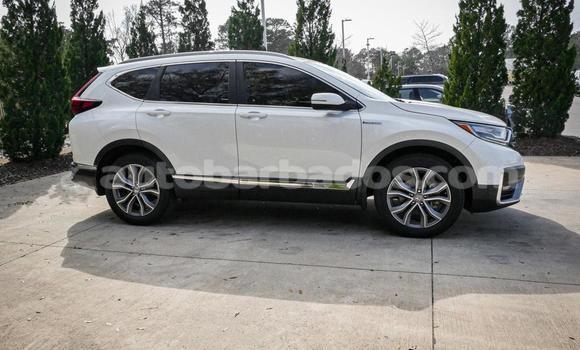 Buy Used Honda CR–V White Car in Bridgetown in Barbados Buy Used Honda CR–V White Car in Bridgetown in Barbados