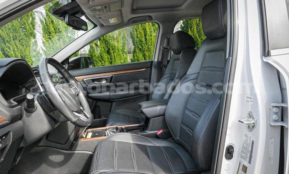 Buy Used Honda CR–V White Car in Bridgetown in Barbados Buy Used Honda CR–V White Car in Bridgetown in Barbados