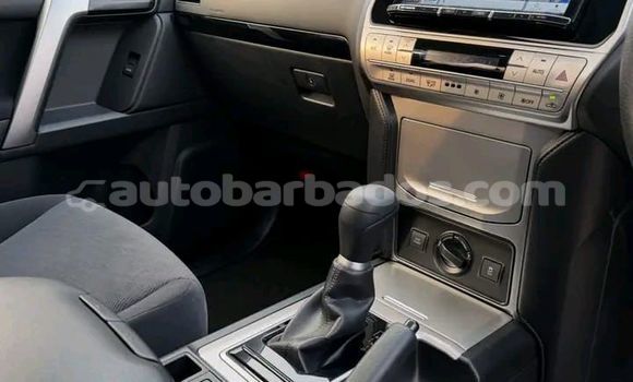 Buy Used Toyota Land Cruiser Prado White Car in Bridgetown in Barbados Buy Used Toyota Land Cruiser Prado White Car in Bridgetown in Barbados