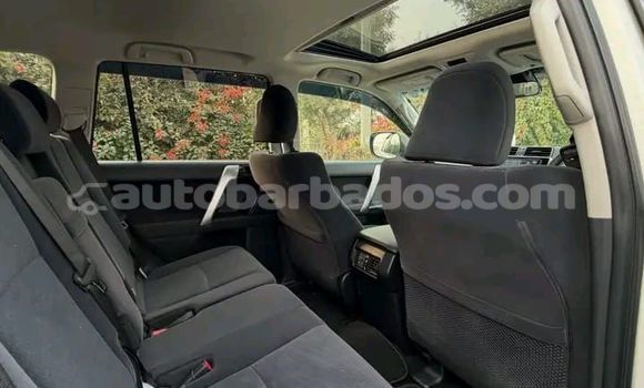 Buy Used Toyota Land Cruiser Prado White Car in Bridgetown in Barbados Buy Used Toyota Land Cruiser Prado White Car in Bridgetown in Barbados